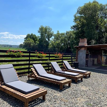 Casa Cu Flori Maramures Baia Mare Esterno foto