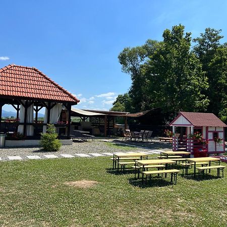 Casa Cu Flori Maramures Baia Mare Esterno foto