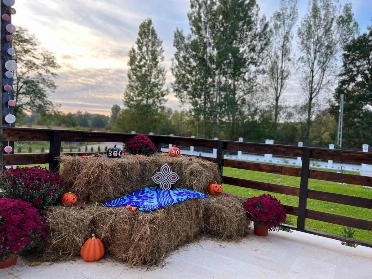 Casa Cu Flori Maramures Baia Mare Esterno foto