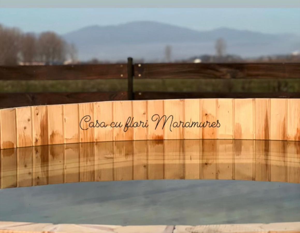 Casa Cu Flori Maramures Baia Mare Esterno foto