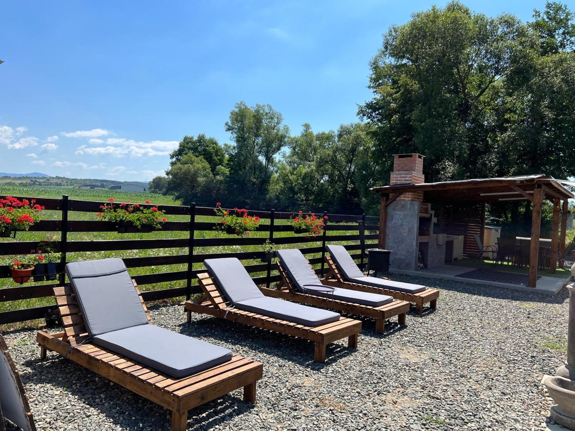 Casa Cu Flori Maramures Baia Mare Esterno foto